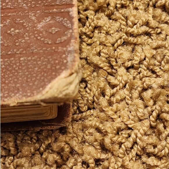 1889 Struggles And Triumphs Or Sixty Yrs Recollections of PT Barnum Antiquarian - Picture 16 of 16